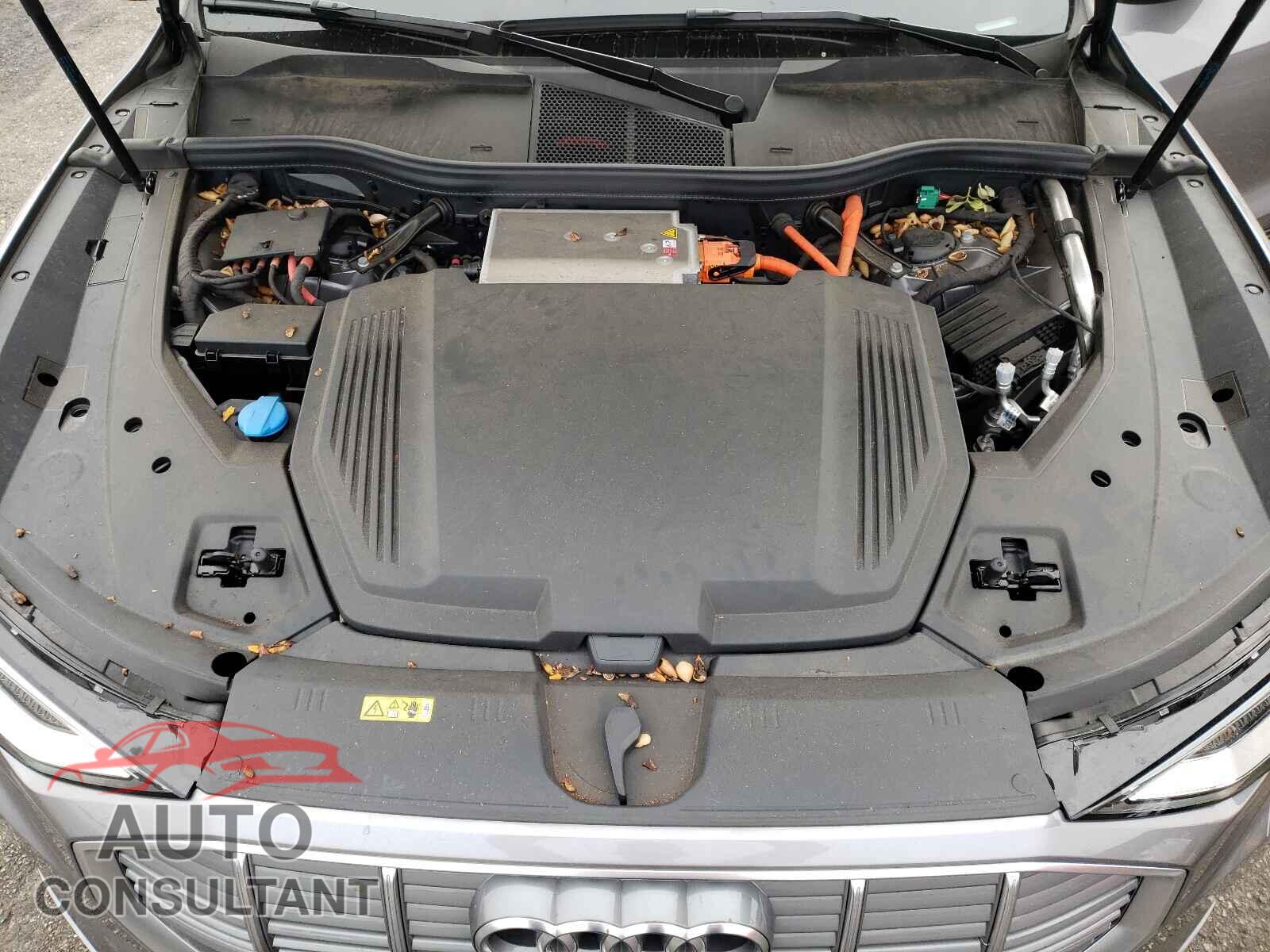 AUDI E-TRON 2019 - WA1LAAGE9KB024381