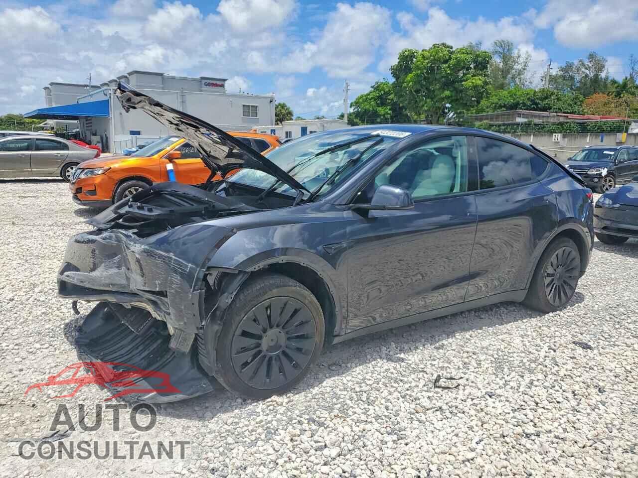 TESLA MODEL Y 2024 - 7SAYGDED1RF034256