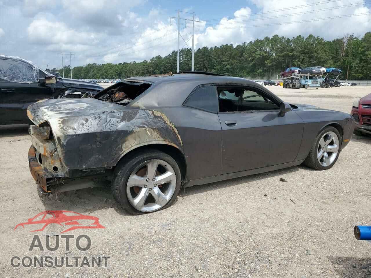 DODGE CHALLENGER 2013 - 2C3CDYBT3DH667951