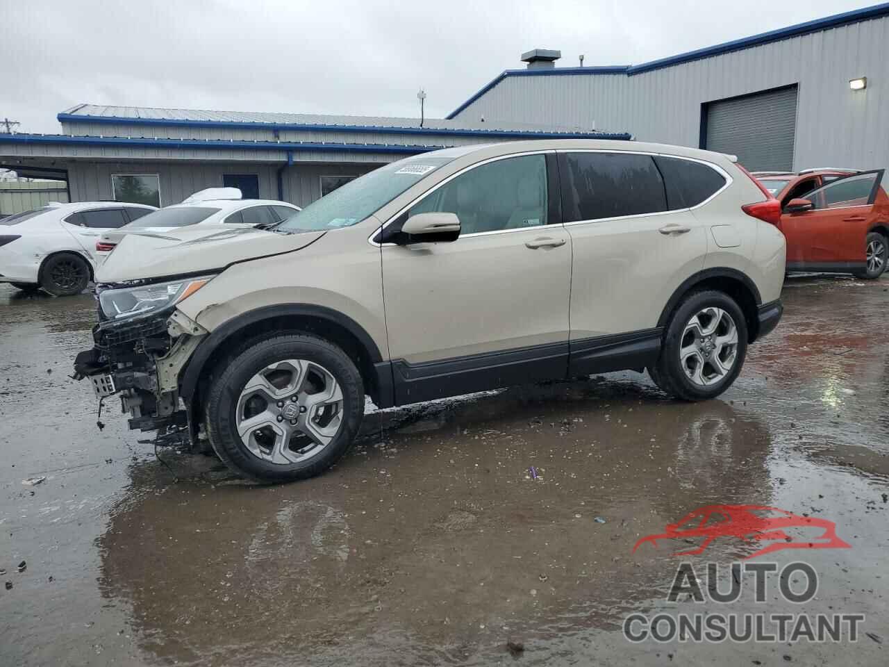 HONDA CRV 2019 - 2HKRW2H86KH651067