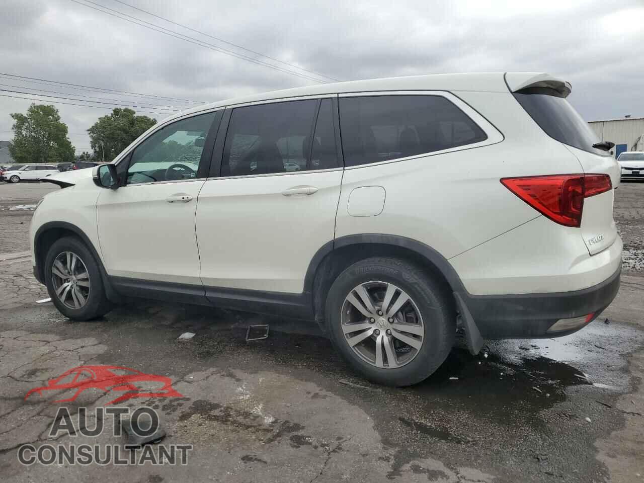 HONDA PILOT 2017 - 5FNYF5H52HB028345