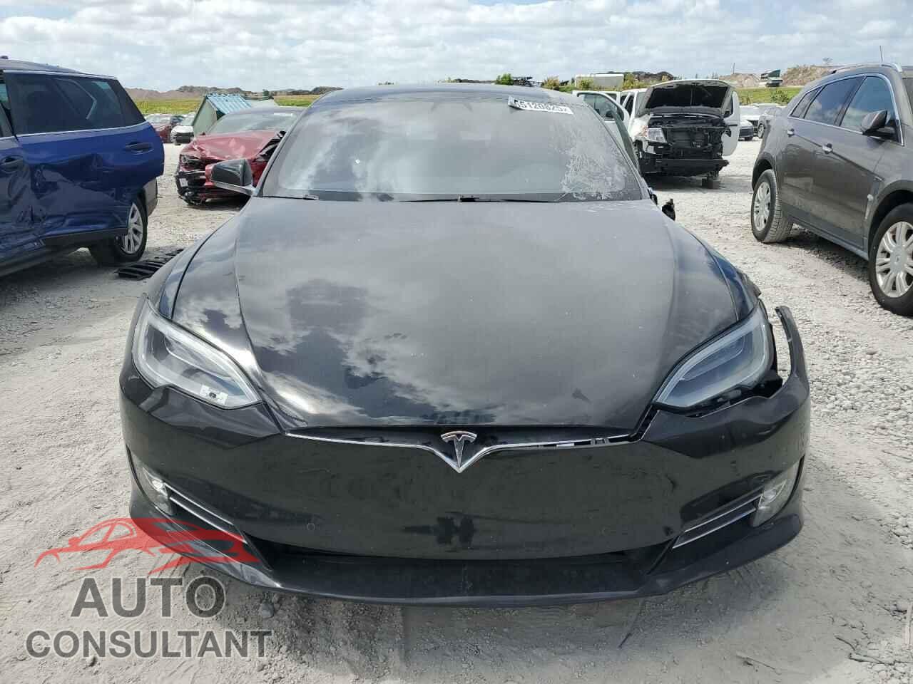 TESLA MODEL S 2019 - 5YJSA1E29KF306446