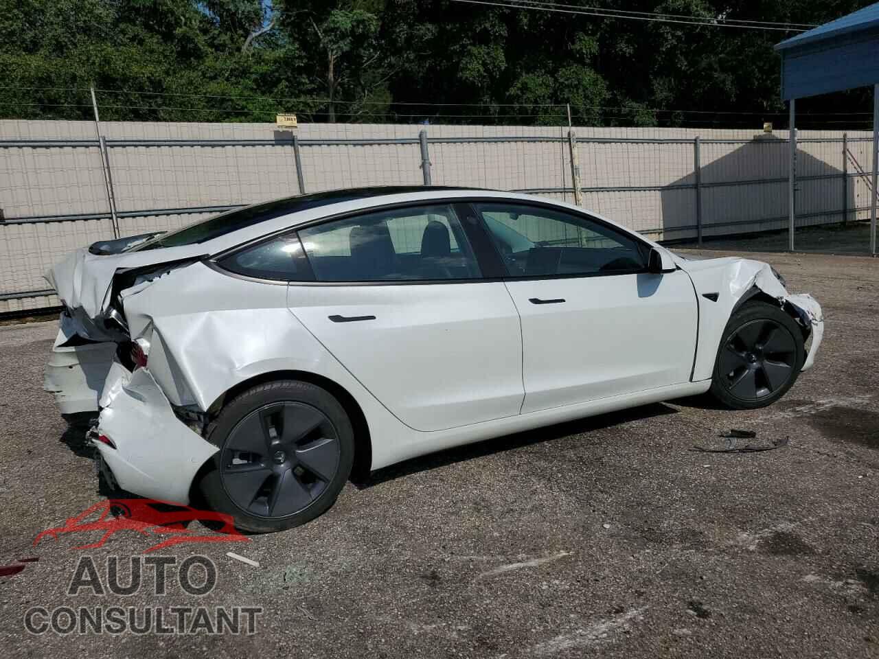 TESLA MODEL 3 2021 - 5YJ3E1EA1MF045896
