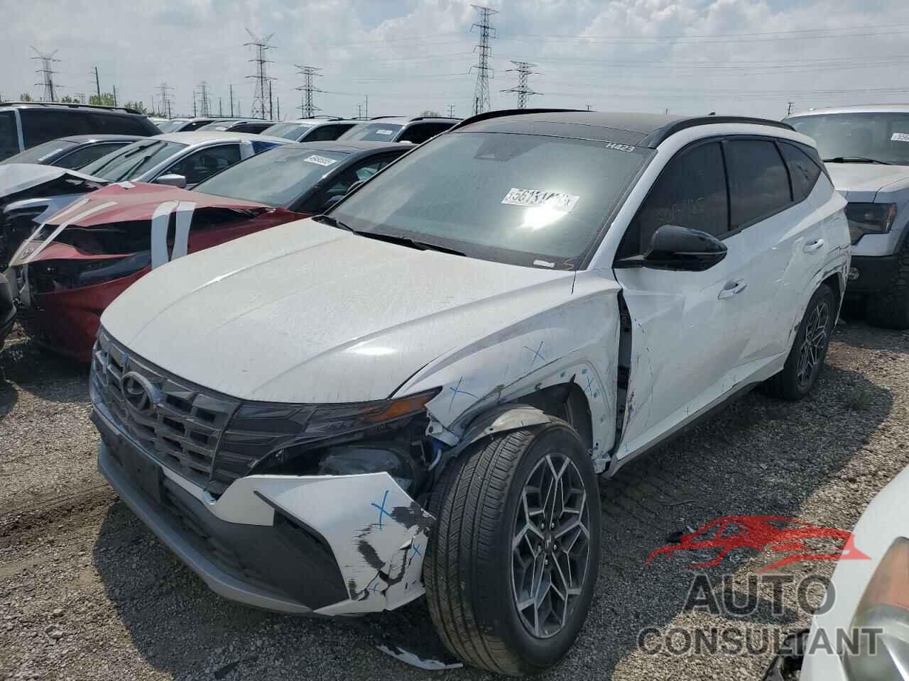 HYUNDAI TUCSON 2024 - KM8JFCD14RU167213
