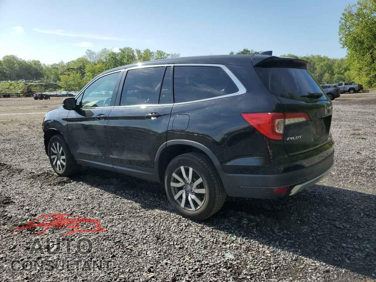 HONDA PILOT 2019 - 5FNYF6H50KB097144
