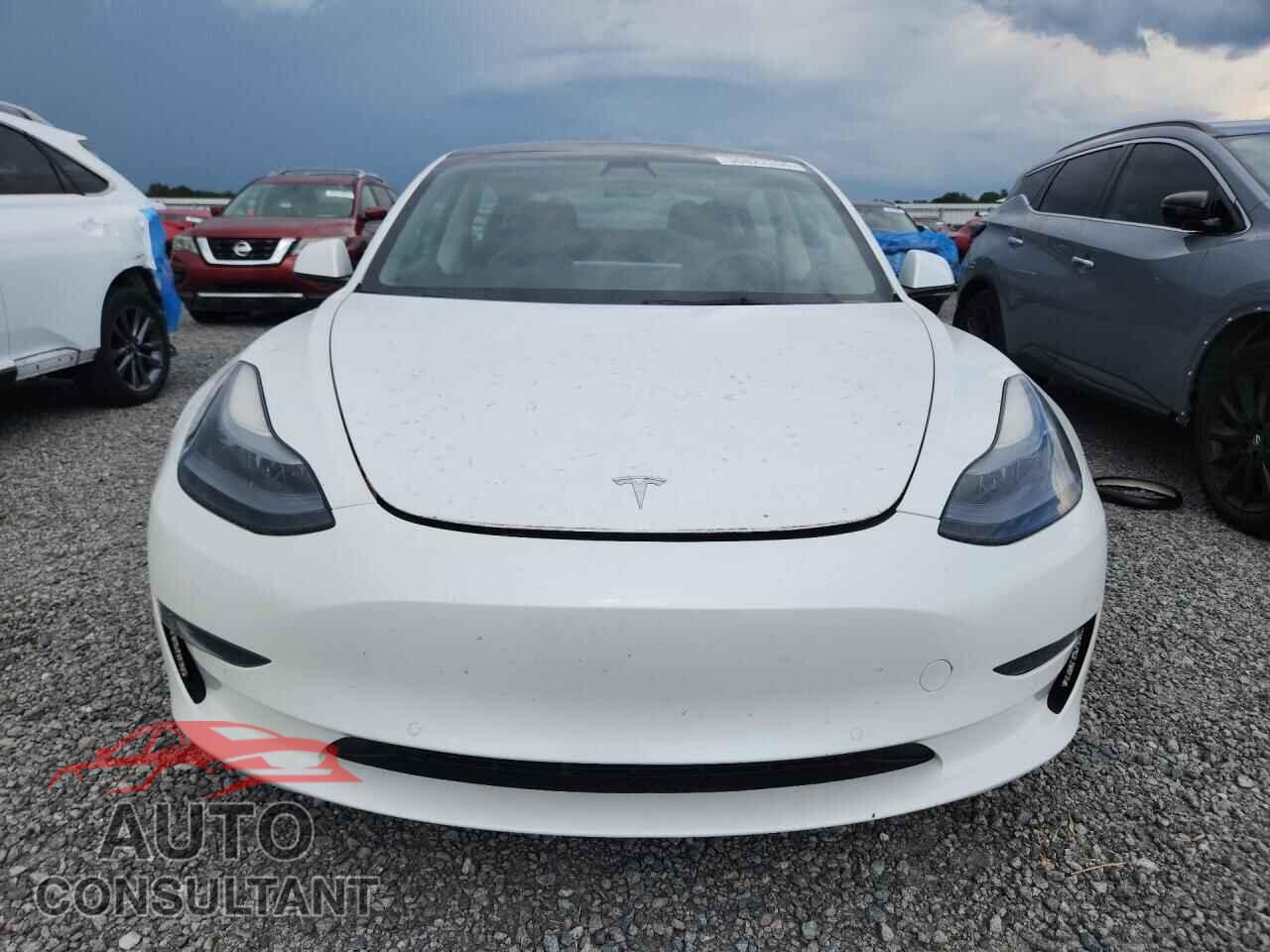 TESLA MODEL 3 2021 - 5YJ3E1EA3MF088300