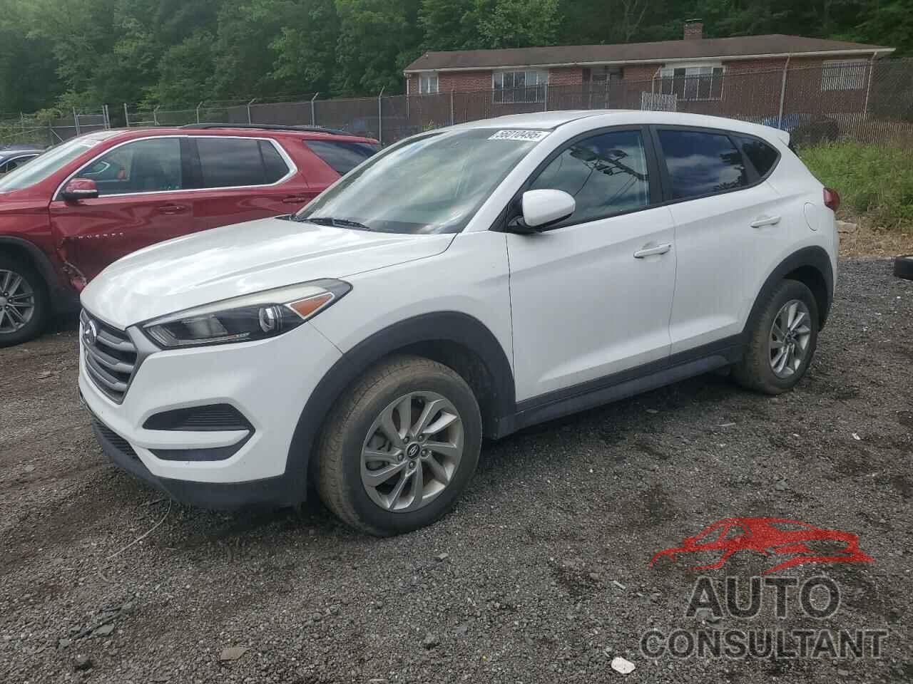 HYUNDAI TUCSON 2017 - KM8J23A41HU500198