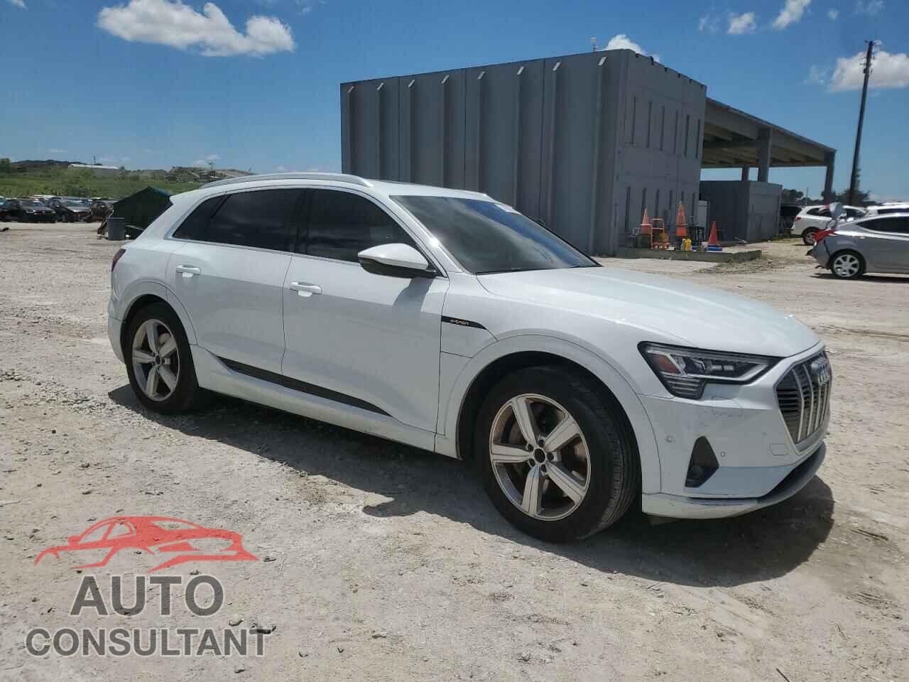 AUDI E-TRON 2019 - WA1VAAGE0KB013133