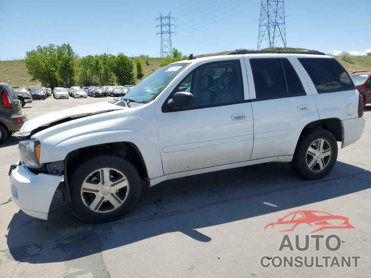 CHEVROLET TRAILBLZR 2009 - 1GNDT33S392132556