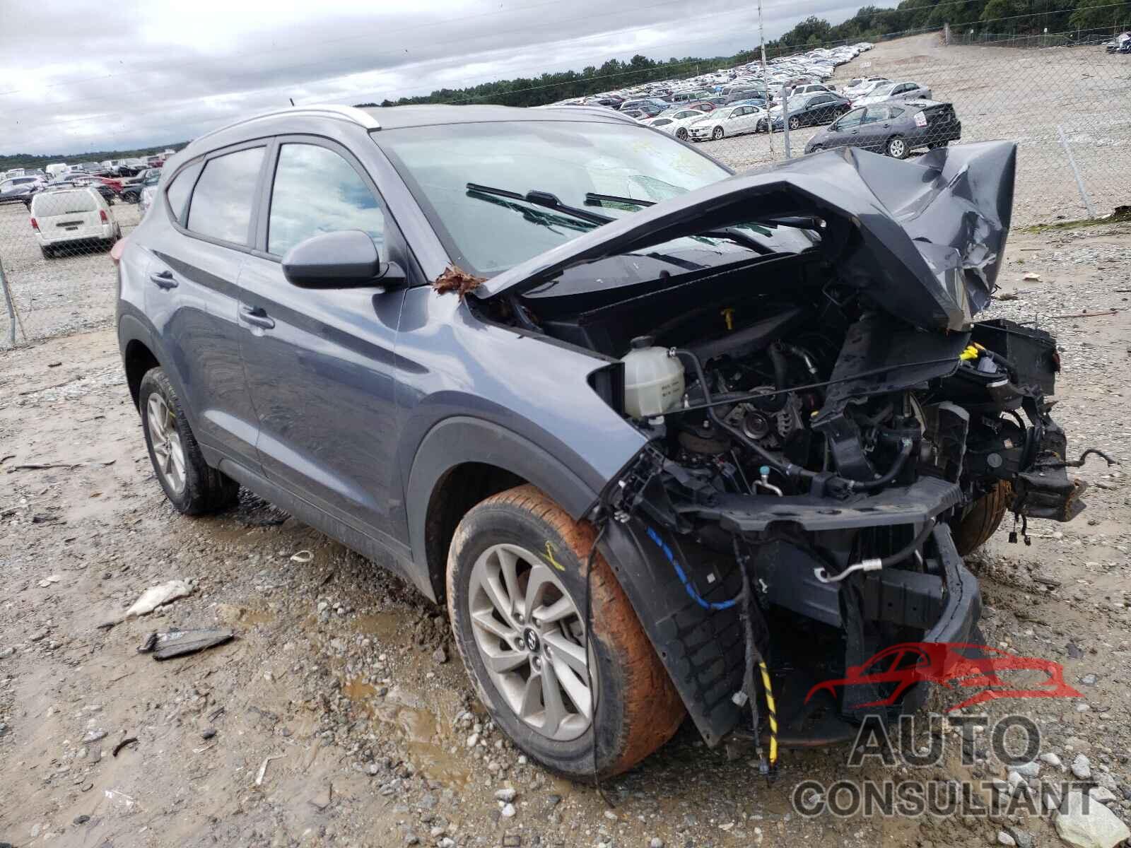 HYUNDAI TUCSON 2016 - KM8J33A42GU109380