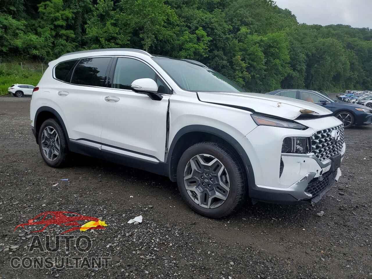 HYUNDAI SANTA FE 2023 - KM8S7DA28PU070114