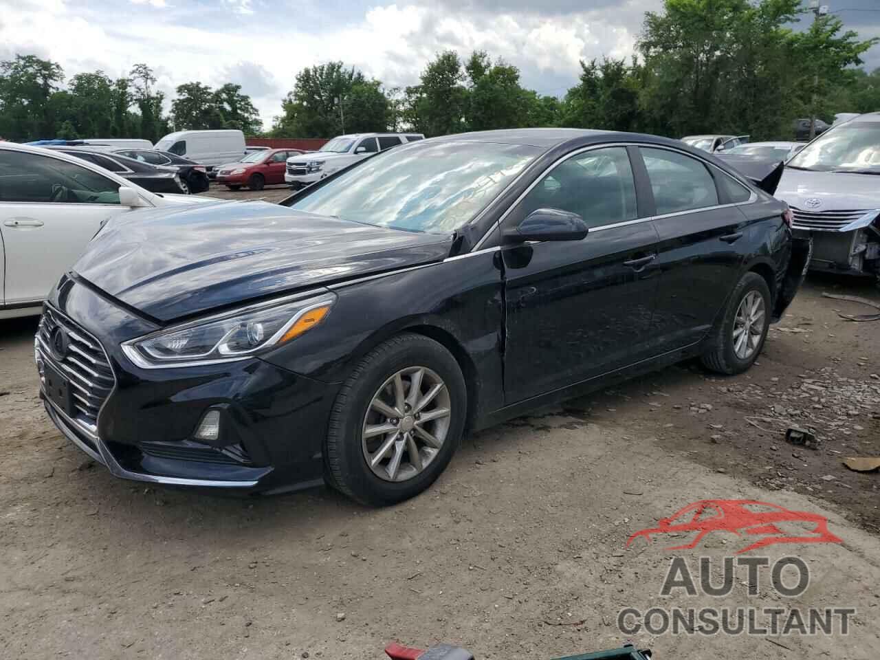 HYUNDAI SONATA 2019 - 5NPE24AF1KH732914