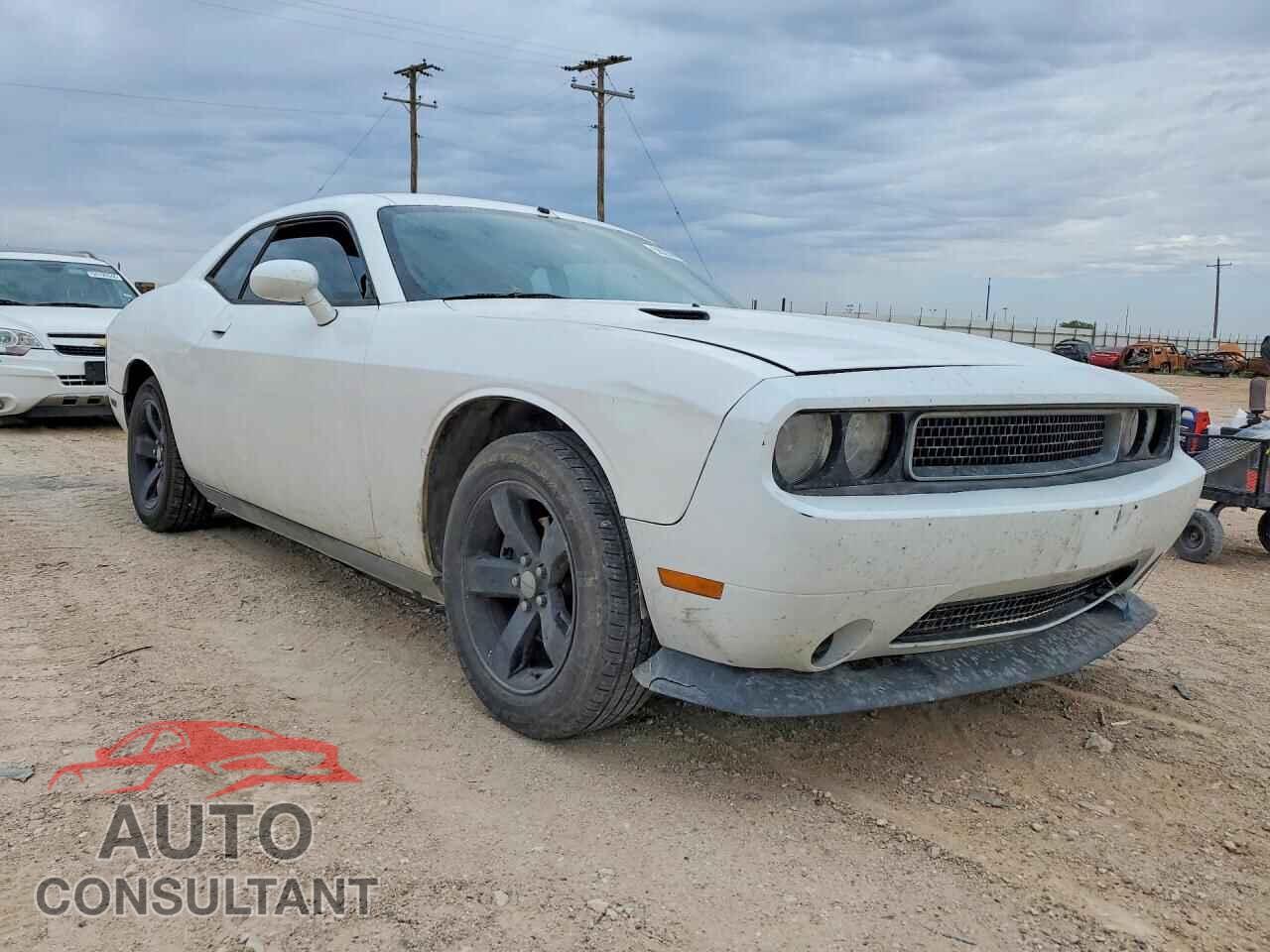 DODGE CHALLENGER 2014 - 2C3CDYAG8EH250301