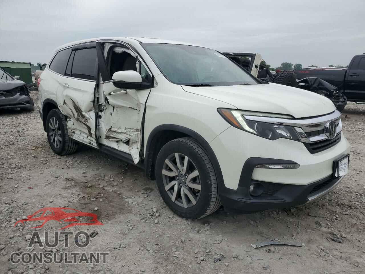 HONDA PILOT 2019 - 5FNYF6H55KB034492