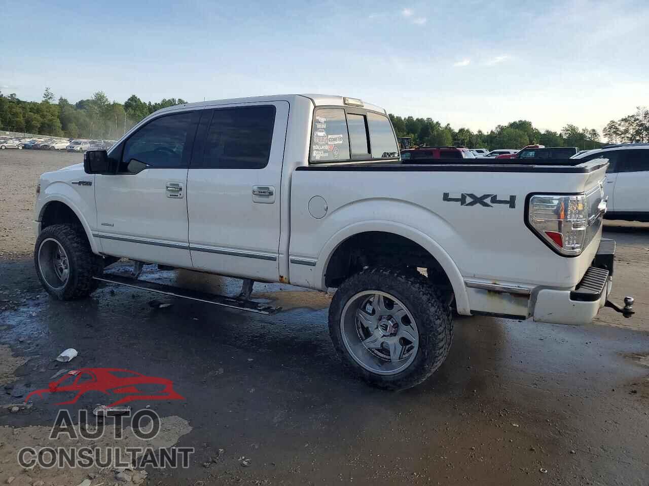 FORD F150 2013 - 1FTFW1ET0DFD28409