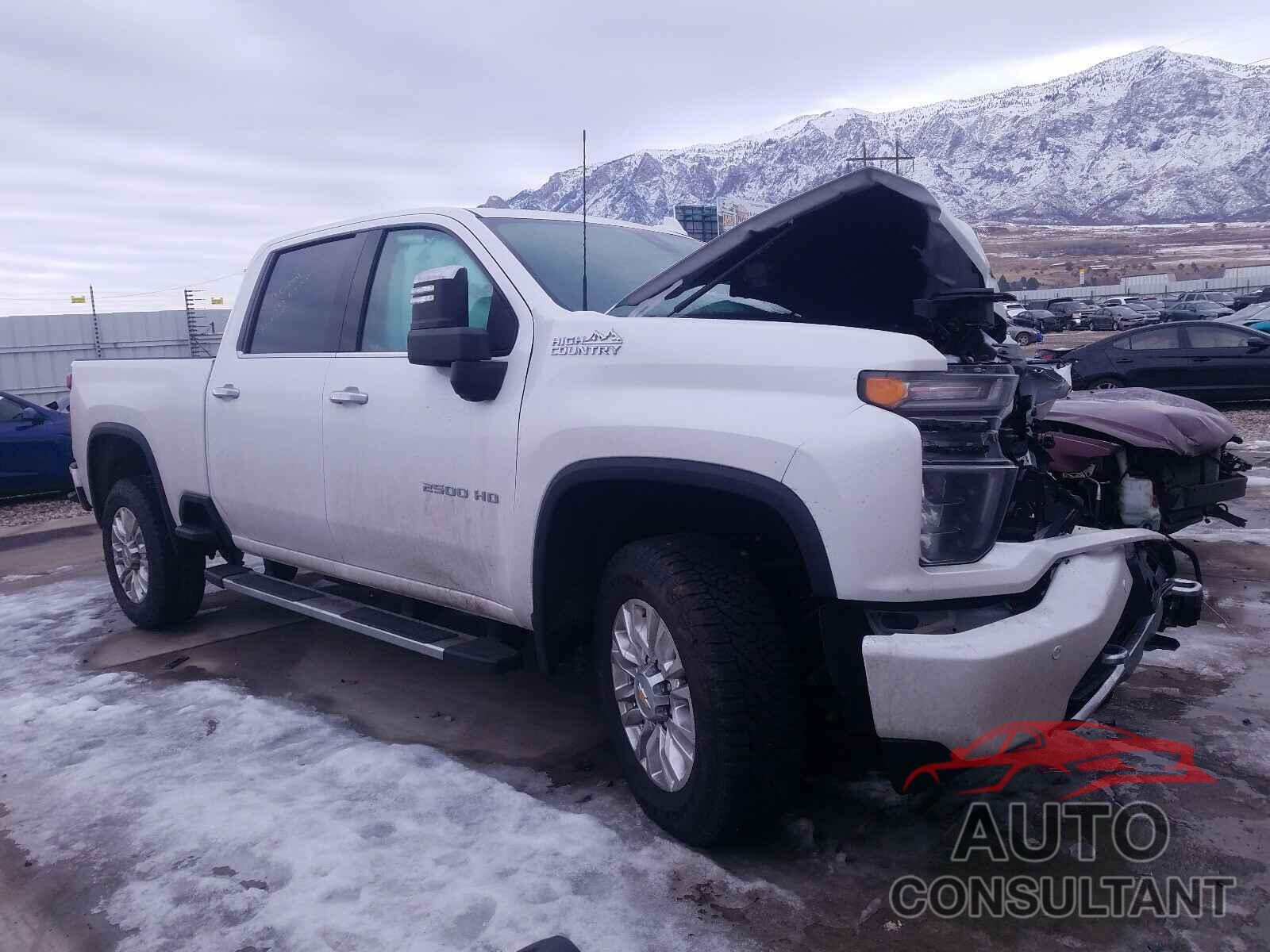 CHEVROLET SILVERADO 2021 - 1GC4YREY0MF135463