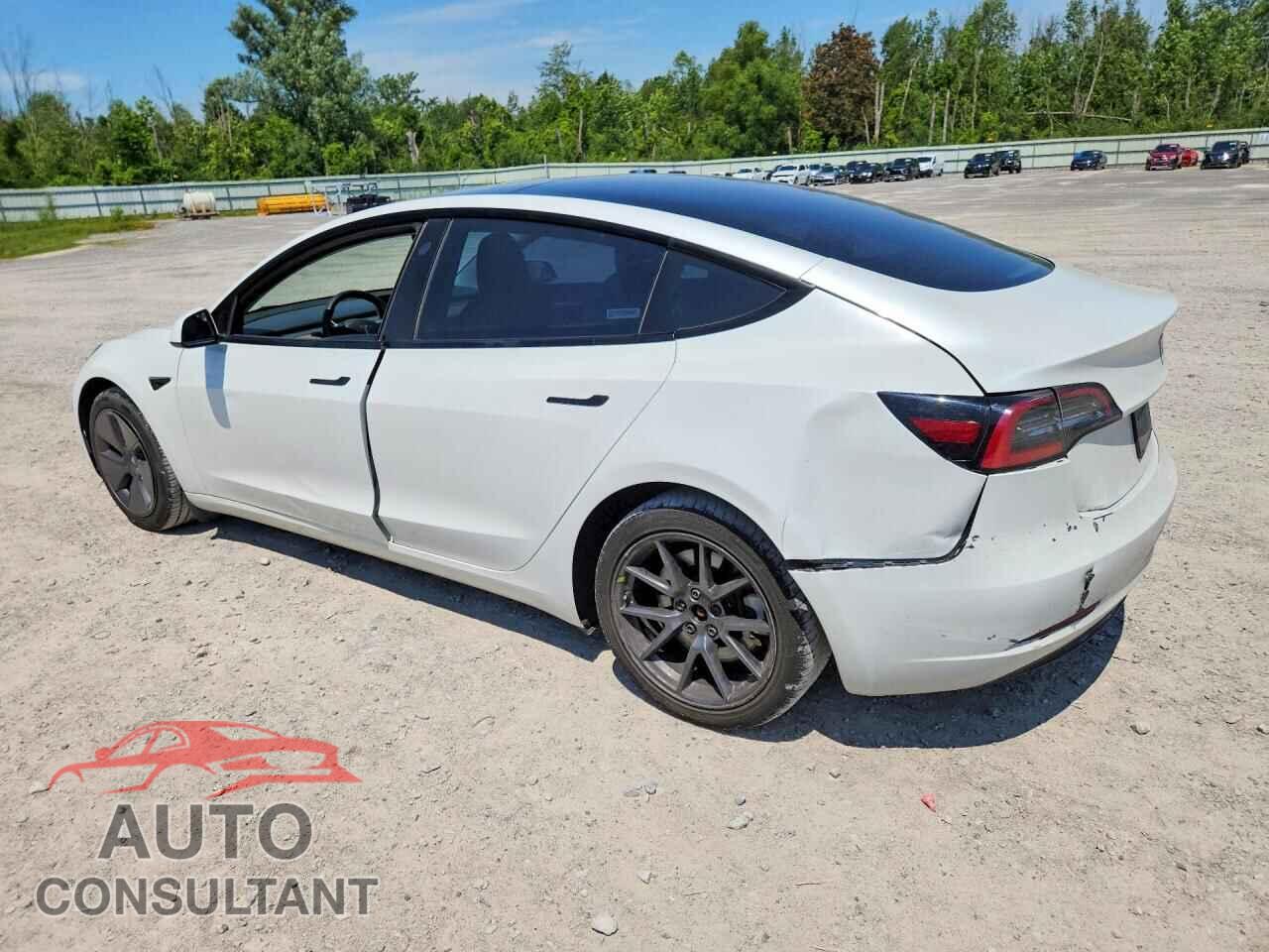 TESLA MODEL 3 2023 - 5YJ3E1EA7PF491300