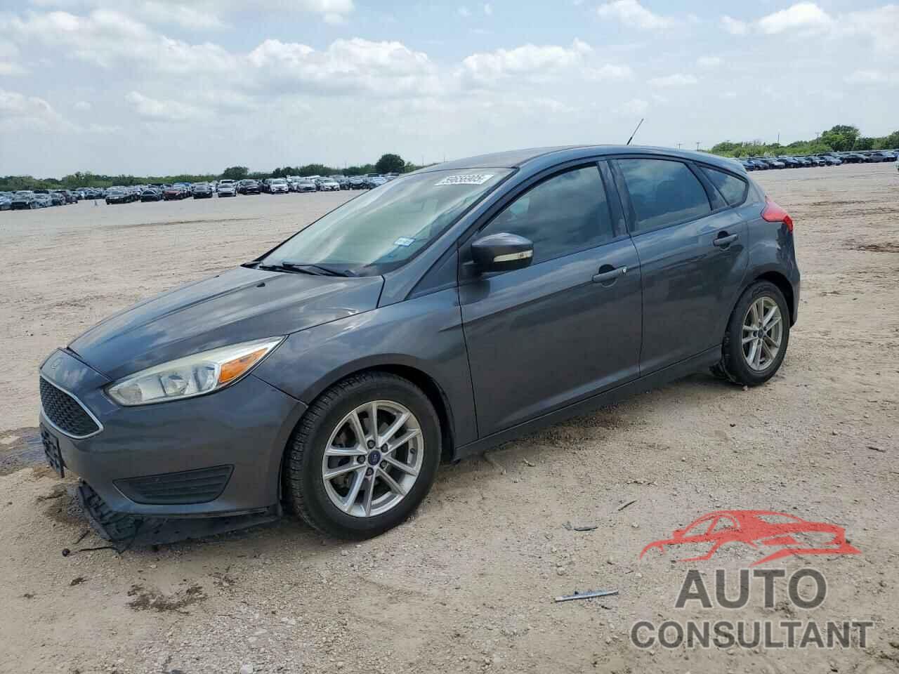 FORD FOCUS 2016 - 1FADP3K2XGL319031