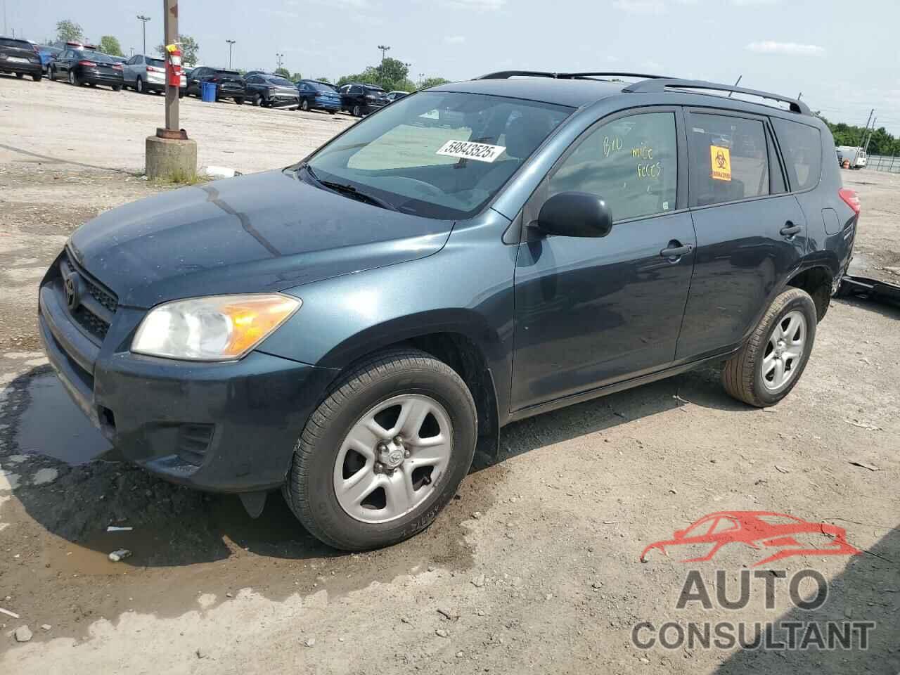 TOYOTA RAV4 2011 - 2T3BF4DV2BW153398