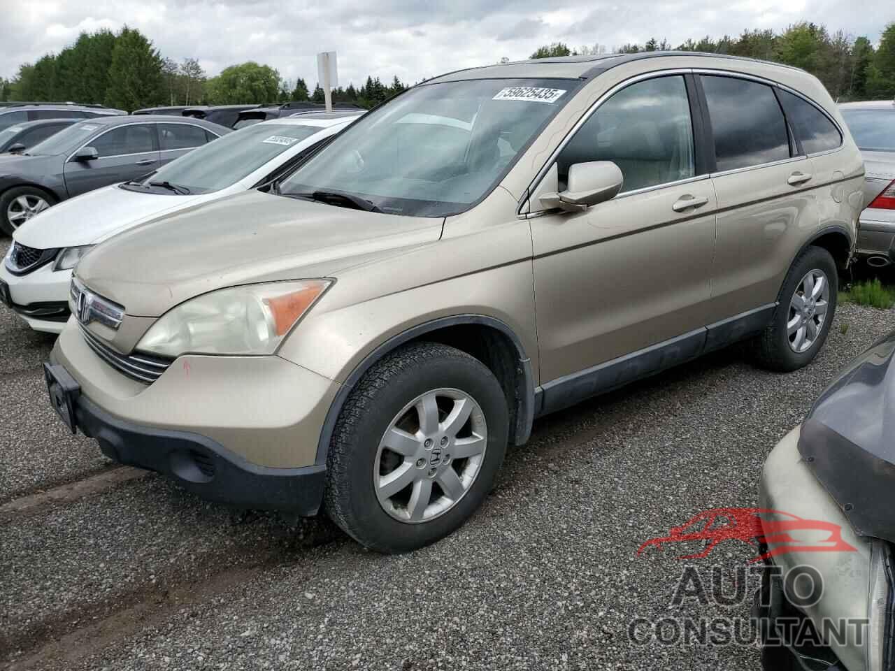 HONDA CRV 2009 - 5J6RE48759L800705