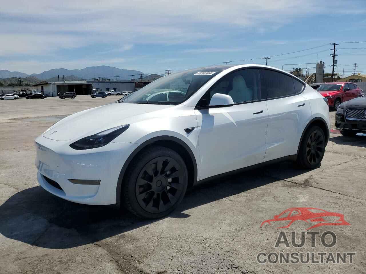 TESLA MODEL Y 2024 - 7SAYGDEE7RA252451