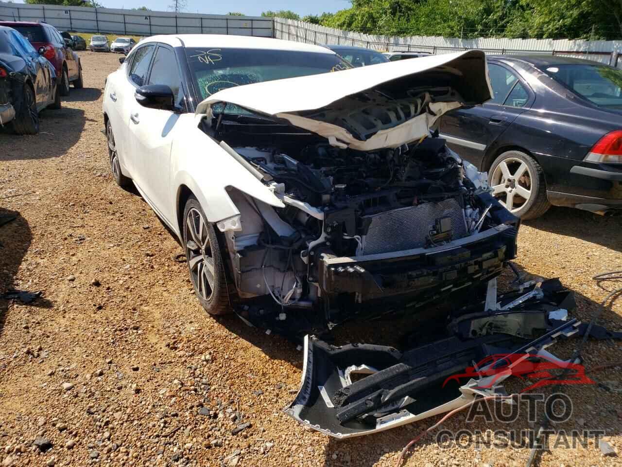 NISSAN MAXIMA 2019 - 1N4AA6AV8KC378850