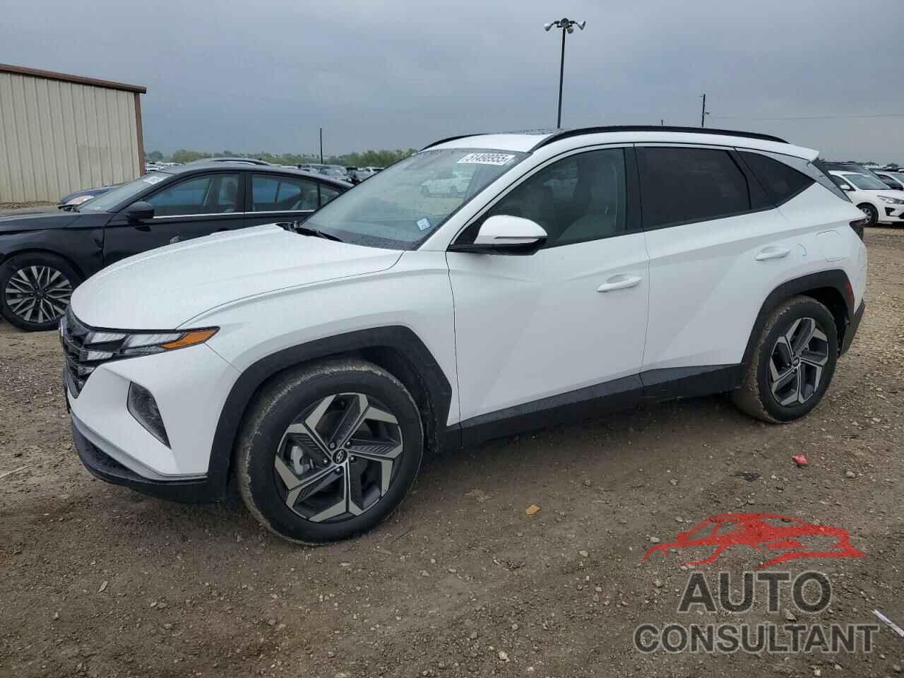 HYUNDAI TUCSON 2024 - 5NMJF3DE0RH335623