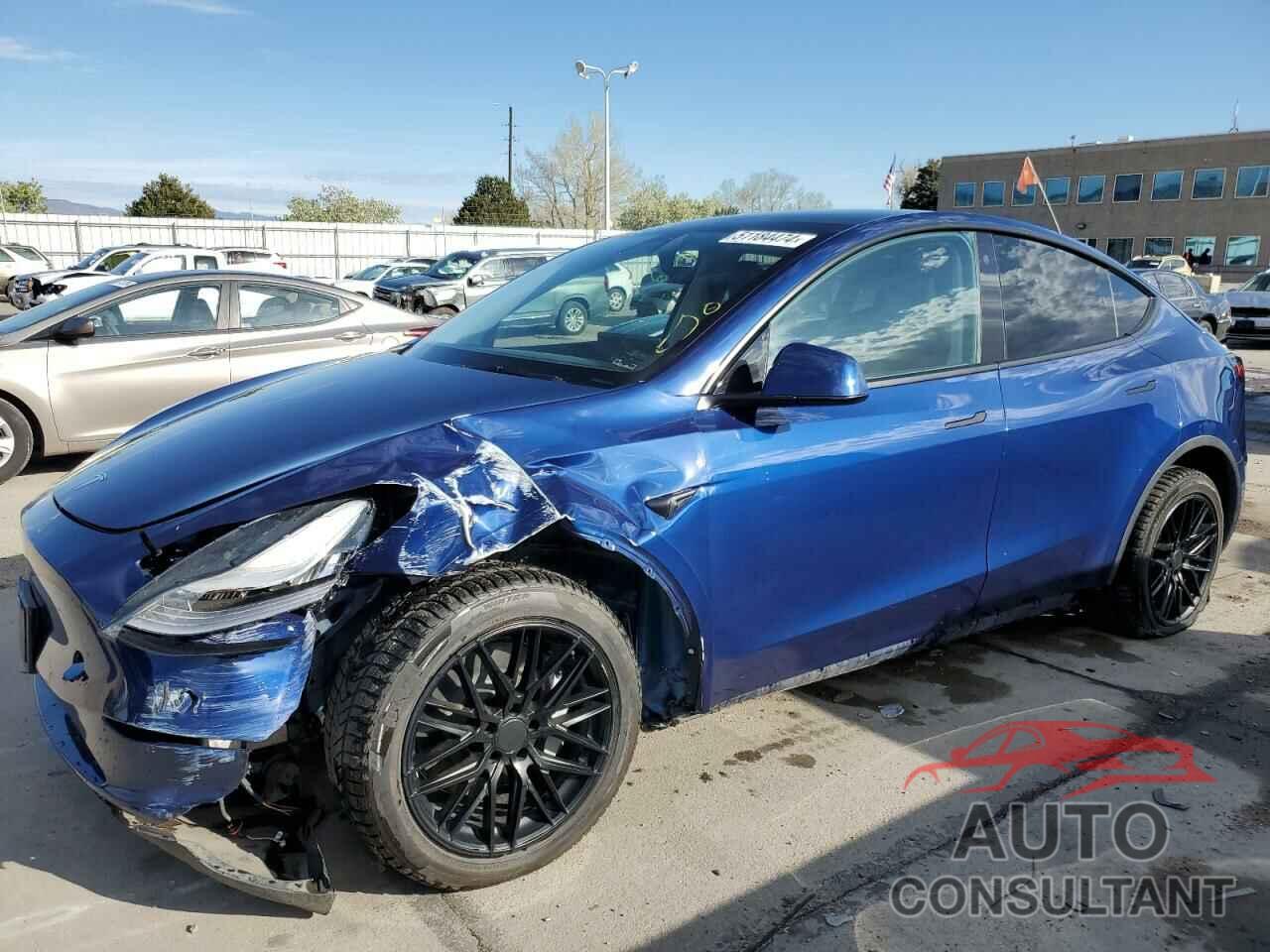 TESLA MODEL Y 2021 - 5YJYGDEE1MF145999