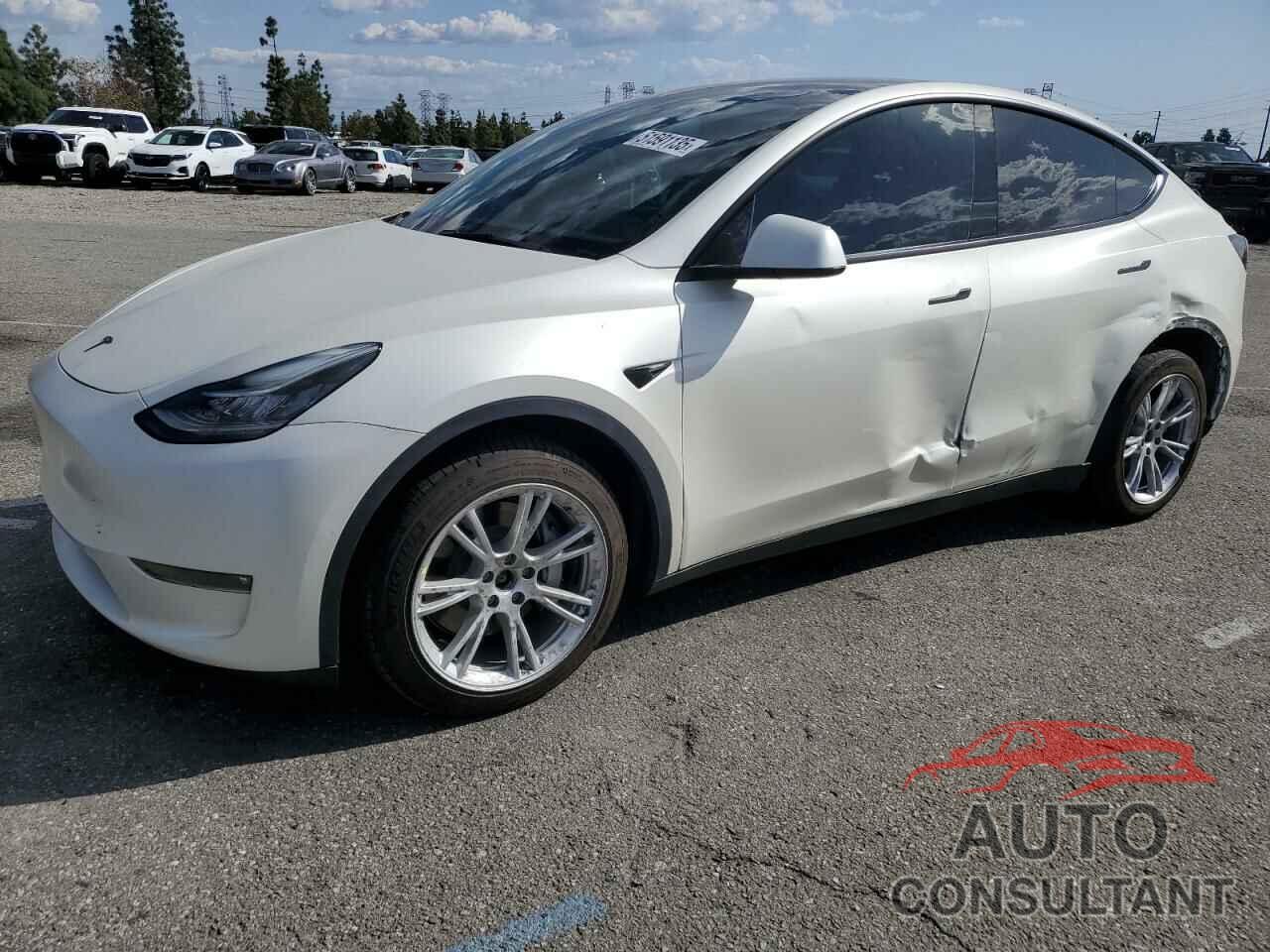 TESLA MODEL Y 2022 - 7SAYGDEE9NF437856
