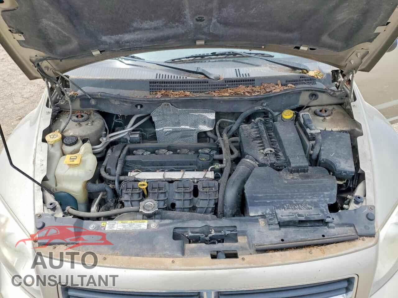 DODGE CALIBER 2009 - 1B3HB48A79D197189