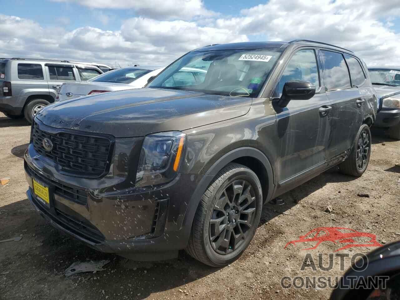 KIA TELLURIDE 2021 - 5XYP3DHC5MG164646