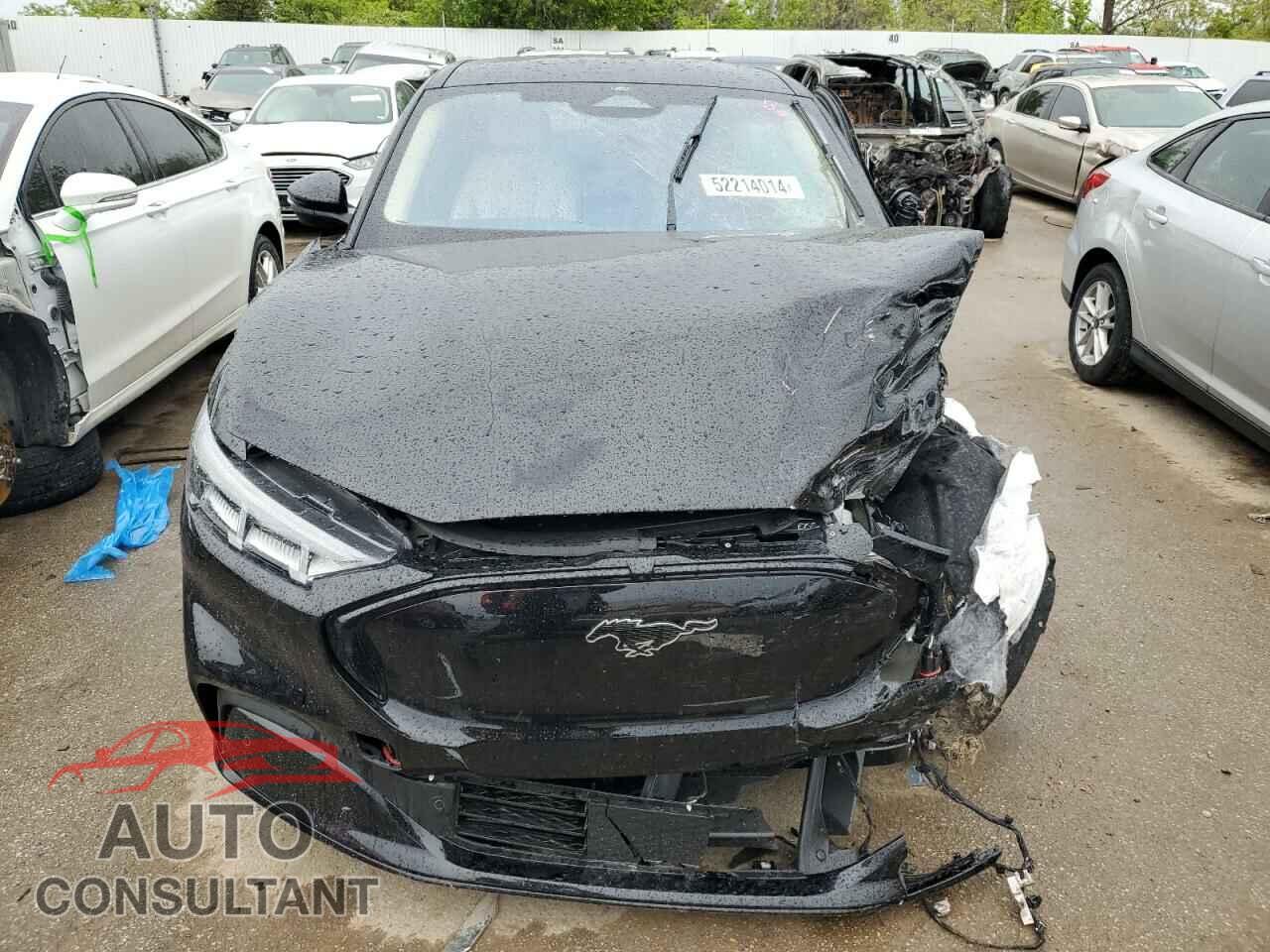 FORD MUSTANG 2023 - 3FMTK3S5XPMA81304
