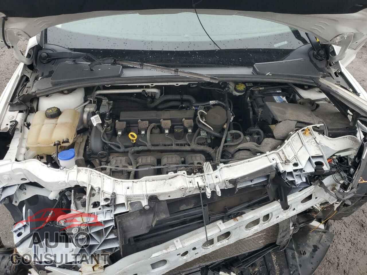 FORD FOCUS 2016 - 1FADP3F2XGL223796