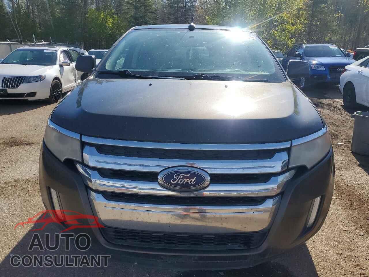 FORD EDGE 2011 - 2FMDK4KC3BBA07564
