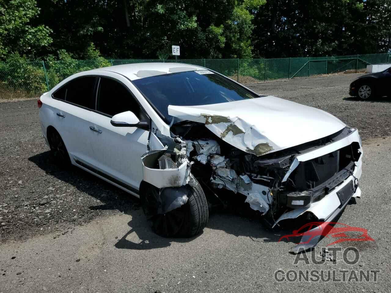 HYUNDAI SONATA 2016 - 5NPE34AF4GH349134