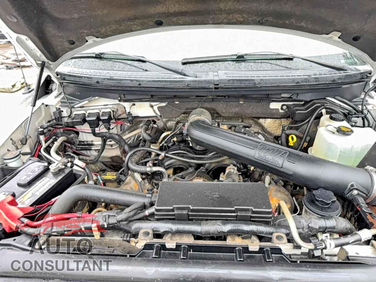 FORD F150 2010 - 1FTFW1EV8AFA92511