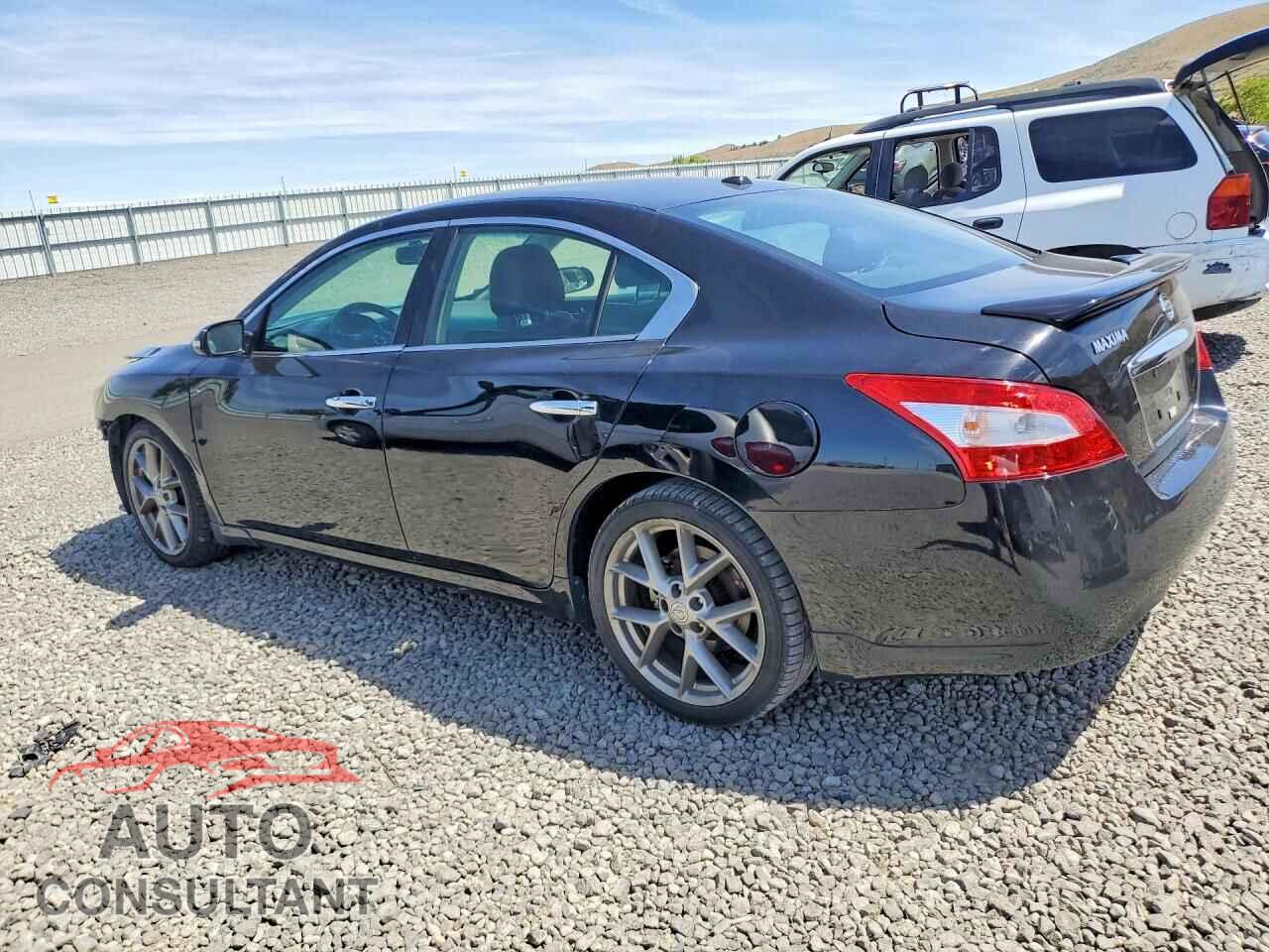 NISSAN MAXIMA 2011 - 1N4AA5AP7BC853366