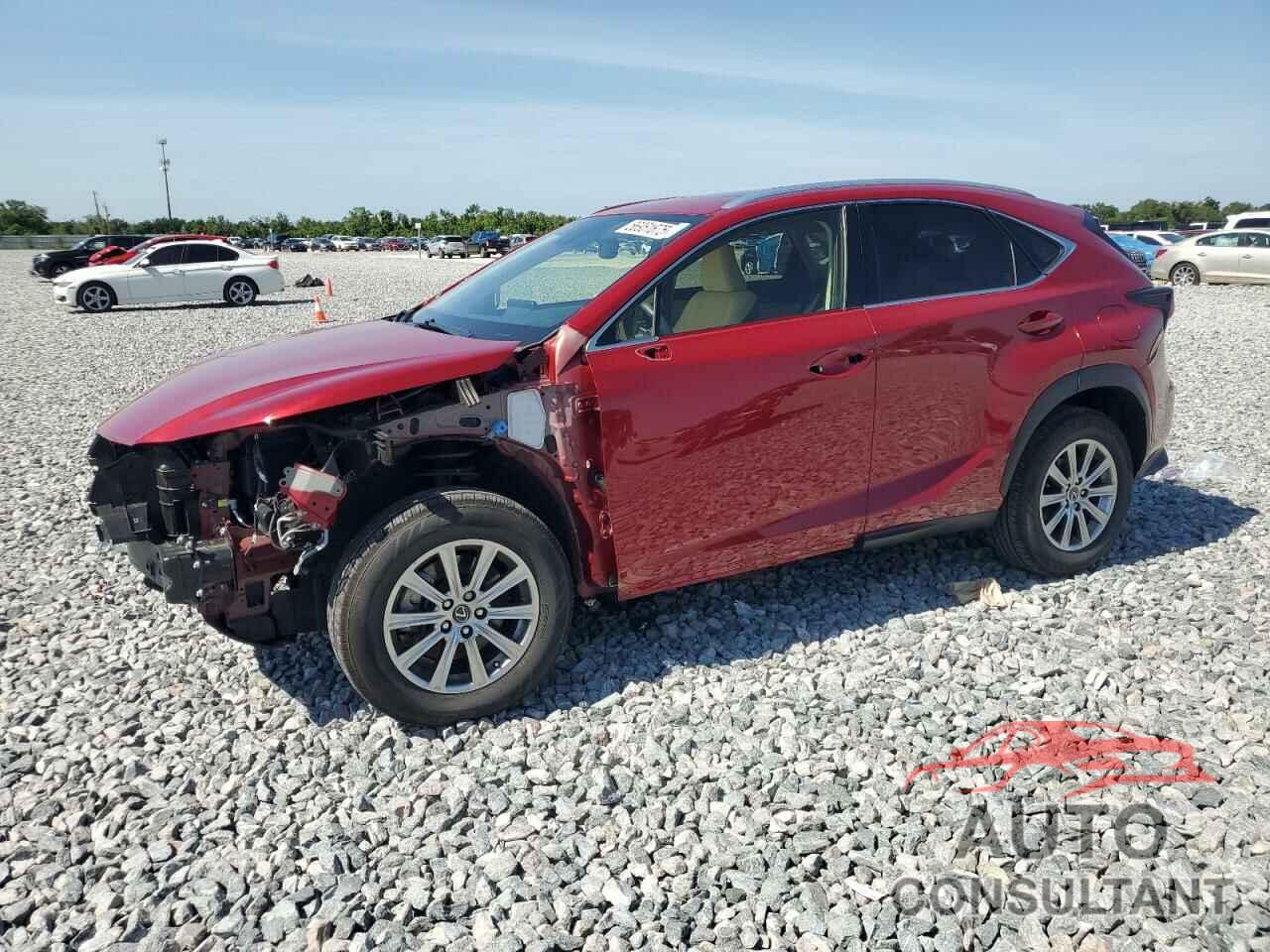 LEXUS NX 2020 - JTJDARBZ4L5012896