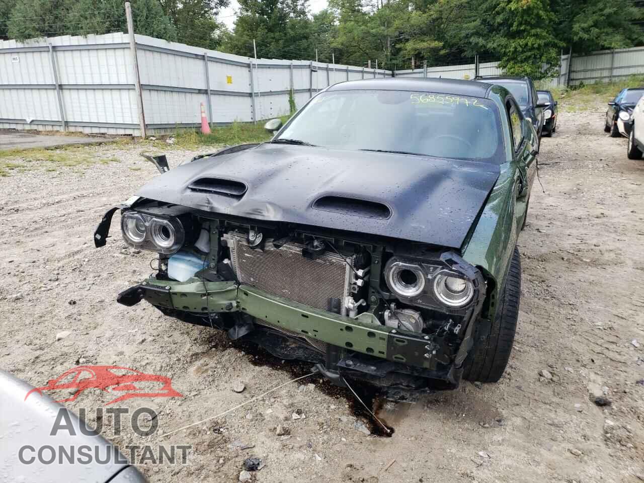 DODGE CHALLENGER 2019 - 2C3CDZC98KH656417