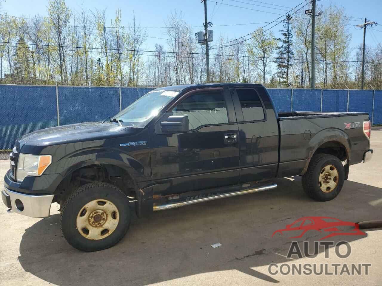 FORD F-150 2013 - 1FTFX1EF6DFB24768