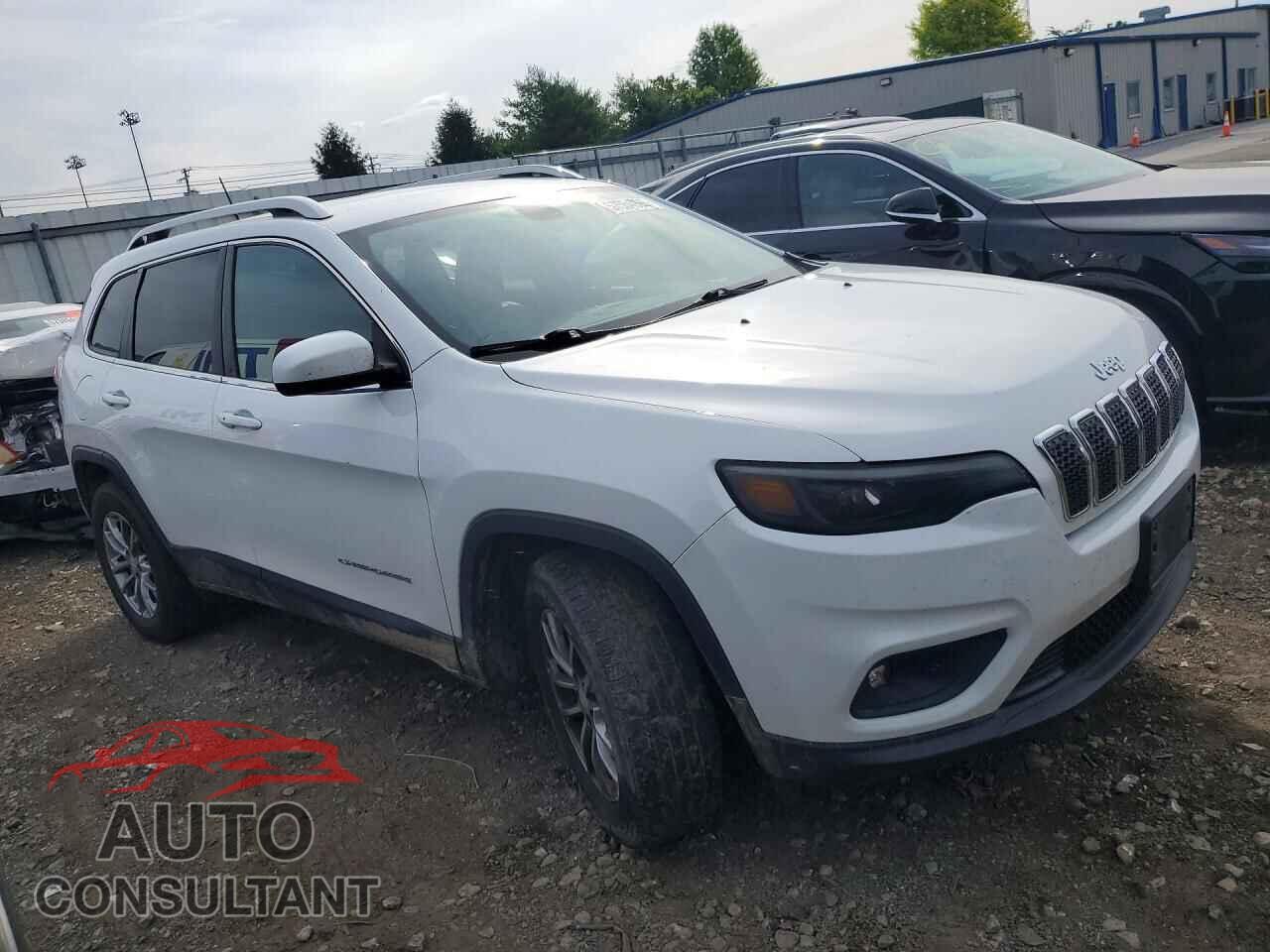 JEEP CHEROKEE 2019 - 1C4PJMLB9KD199058
