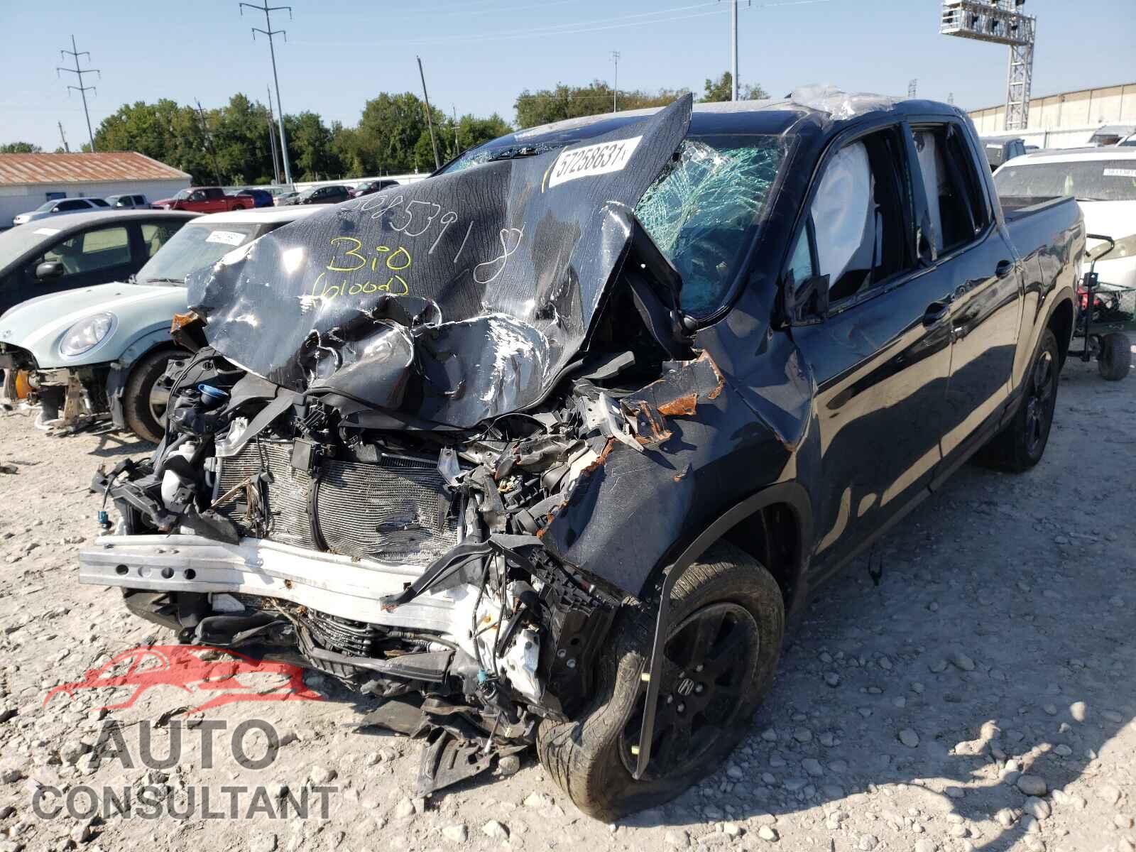 HONDA RIDGELINE 2019 - 5FPYK3F81KB045438