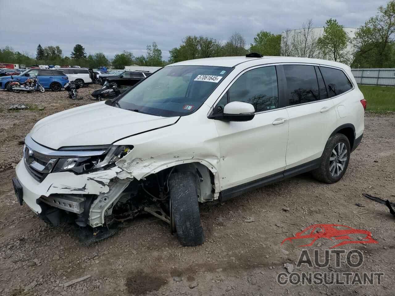 HONDA PILOT 2019 - 5FNYF6H36KB056239