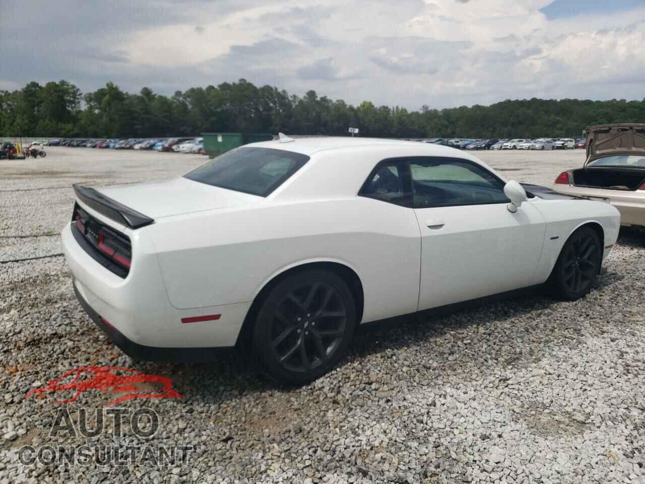 DODGE CHALLENGER 2019 - 2C3CDZBTXKH652446
