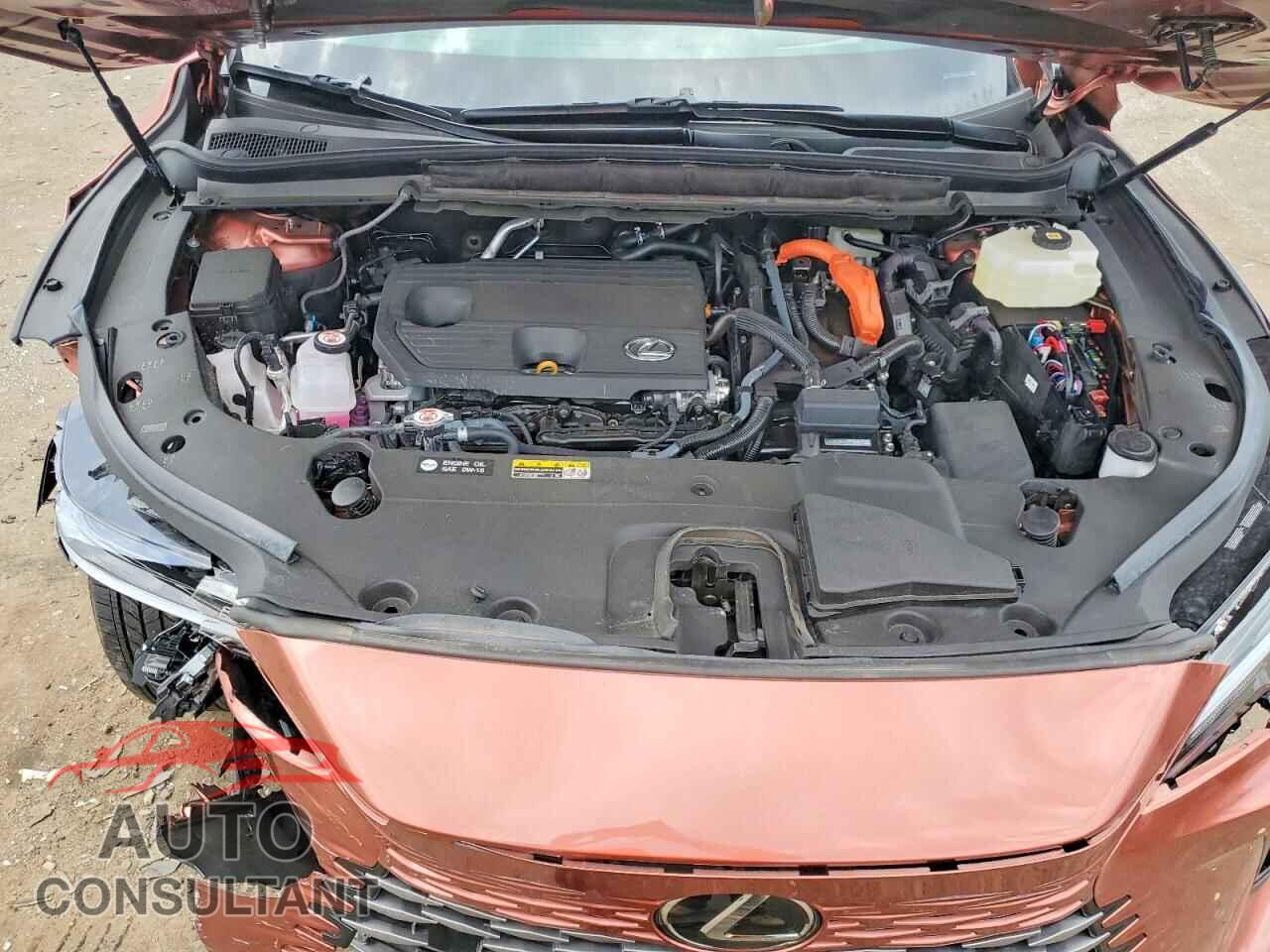 LEXUS UNKNOWN 2026 - 2T2BBMCA7TC124075