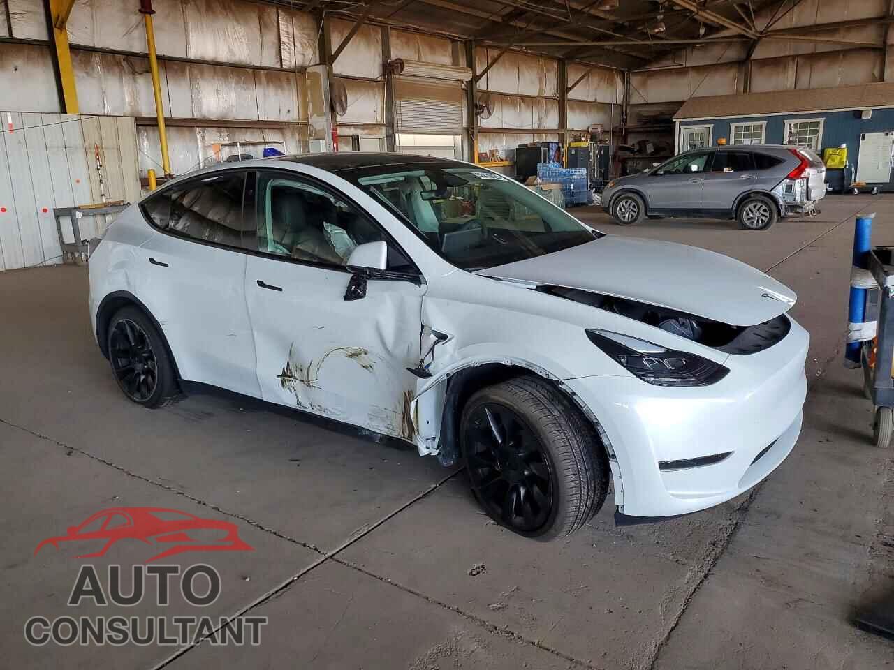 TESLA MODEL Y 2024 - 7SAYGDED1RF093999