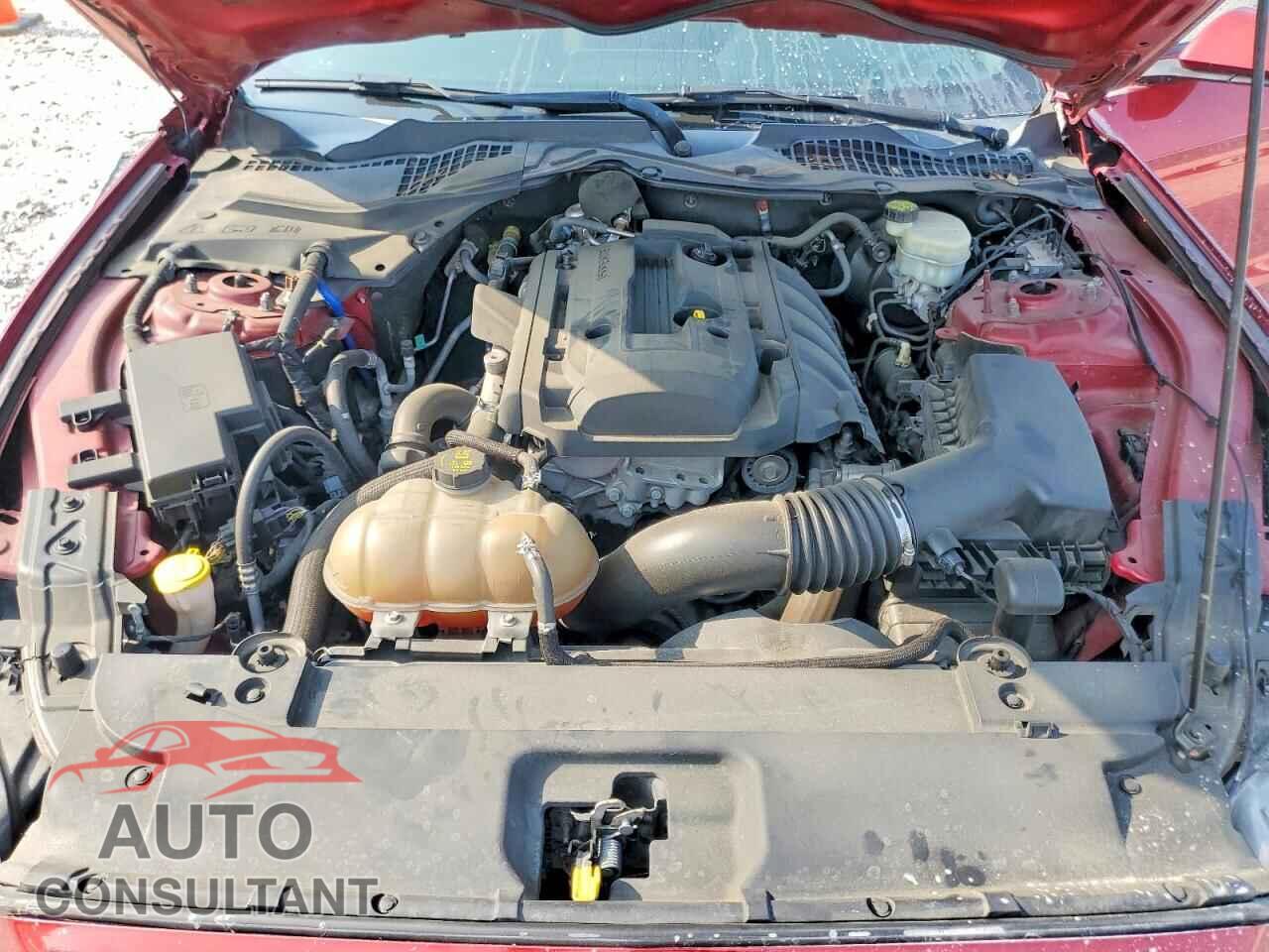 FORD MUSTANG 2017 - 1FA6P8TH2H5265397