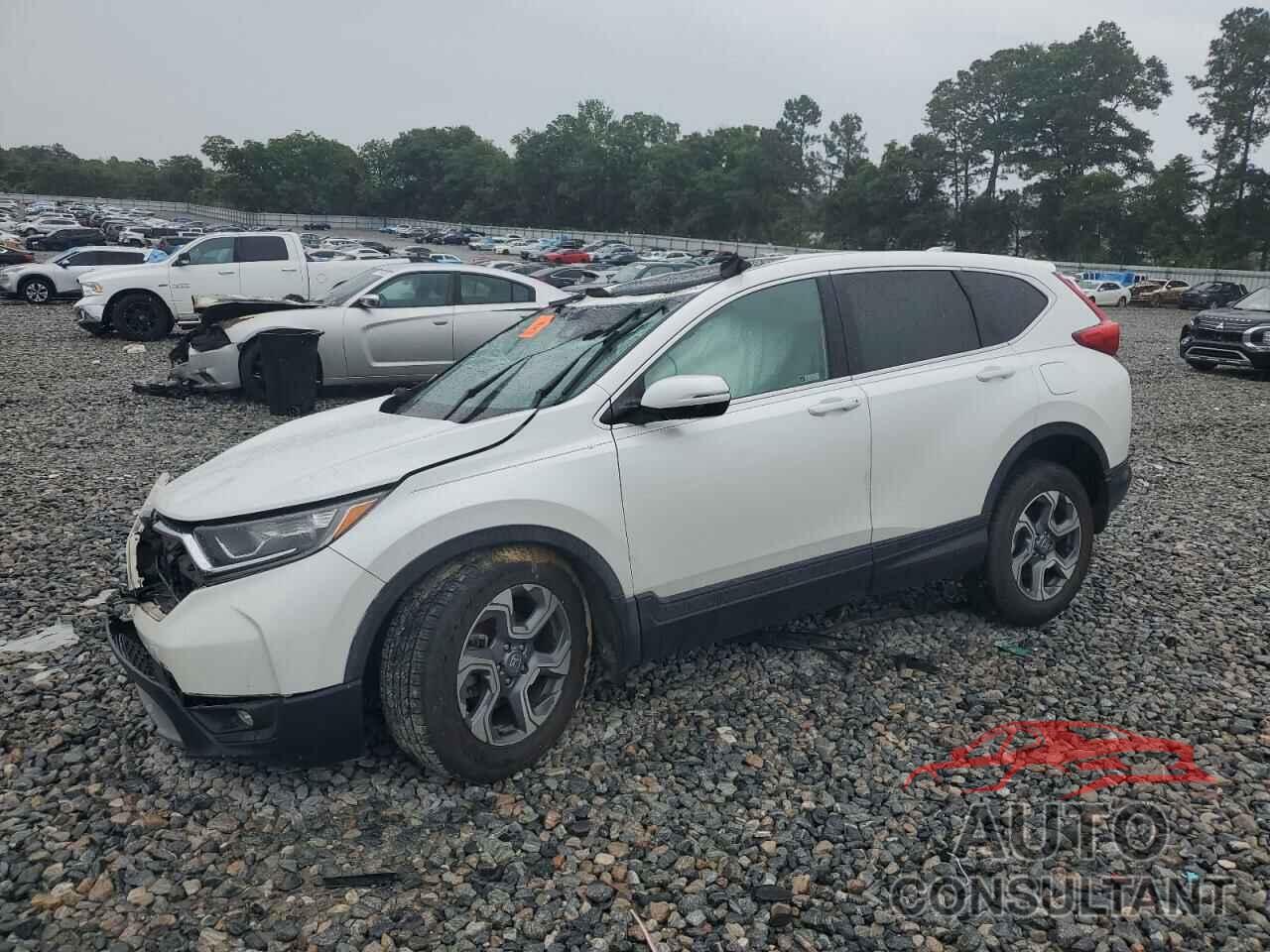 HONDA CRV 2019 - 5J6RW1H5XKA034790