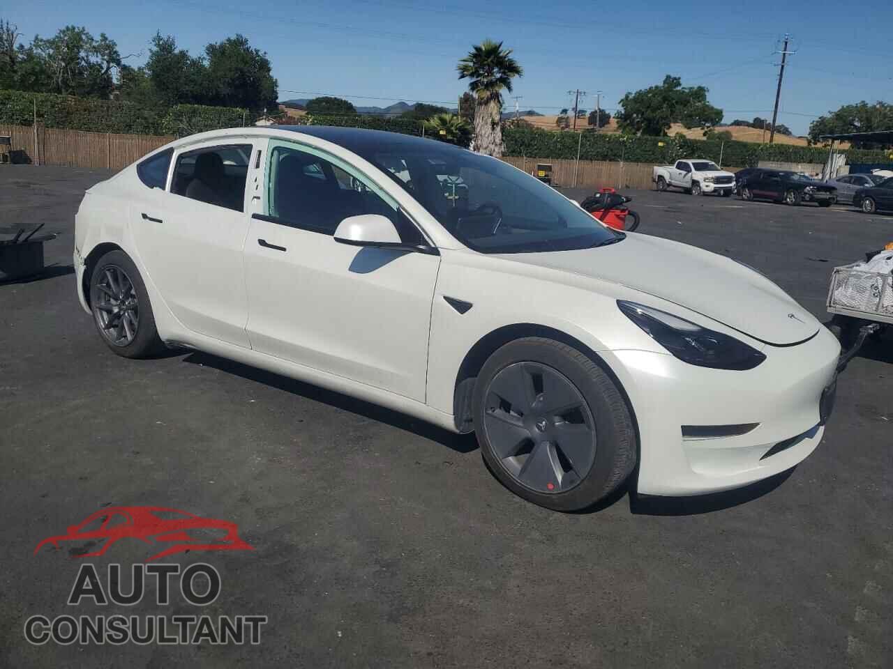 TESLA MODEL 3 2021 - 5YJ3E1EA0MF017524