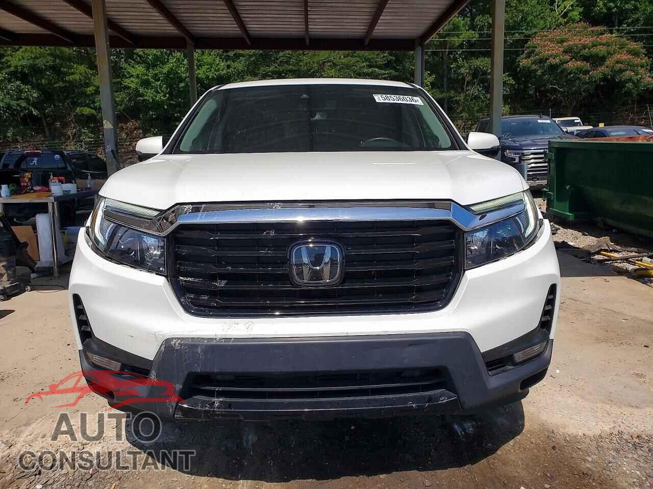 HONDA RIDGELINE 2021 - 5FPYK3F70MB024283